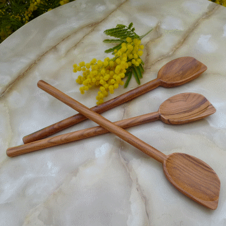 SPATULE COIN